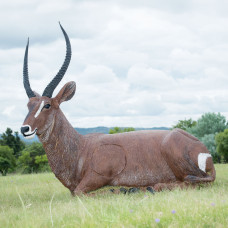 Wildcrete Waterbuck bedded